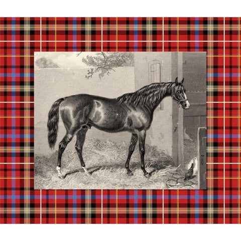 Equestrian Plaid III Black Modern Wood Framed Art Print with Double Matting by Hacker, E.