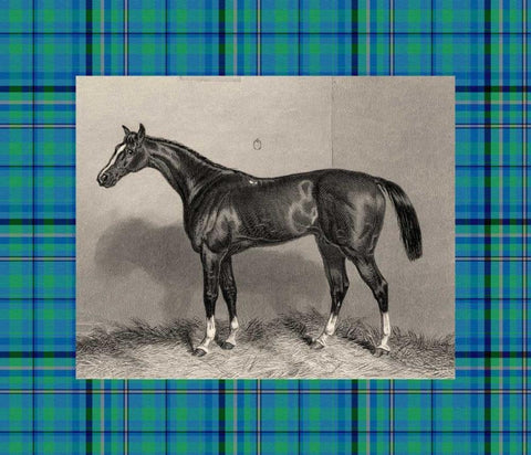 Equestrian Plaid IV Black Ornate Wood Framed Art Print with Double Matting by Hacker, E.