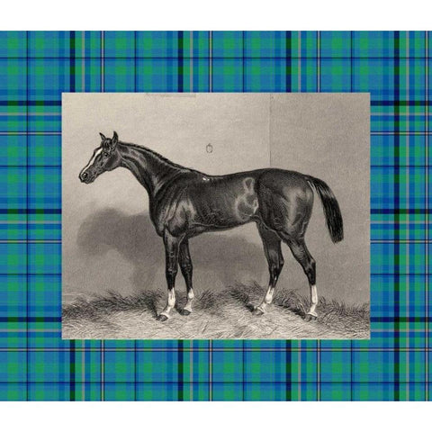 Equestrian Plaid IV Black Modern Wood Framed Art Print by Hacker, E.