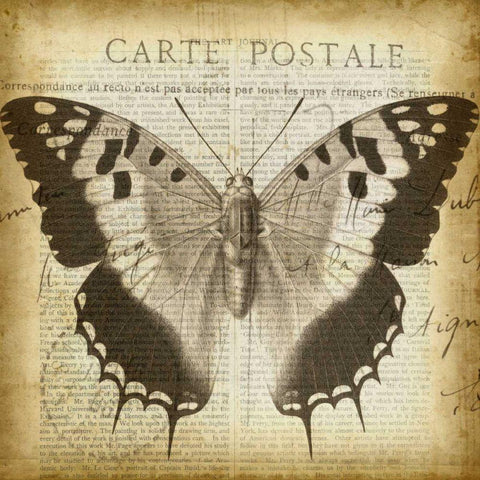 Carte Postale Butterfly II Black Modern Wood Framed Art Print with Double Matting by Goldberger, Jennifer