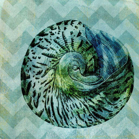 Chevron Shell II White Modern Wood Framed Art Print with Double Matting by Vision Studio