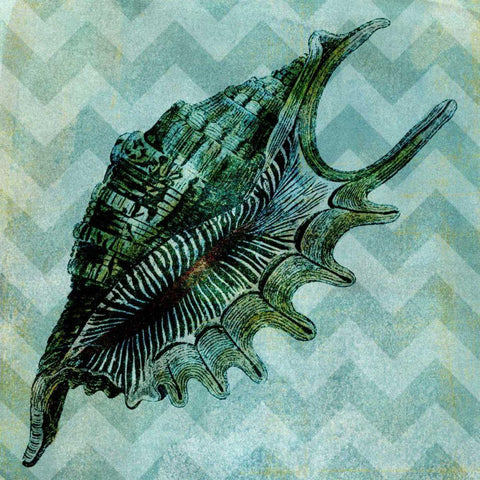 Chevron Shell VII Black Ornate Wood Framed Art Print with Double Matting by Vision Studio