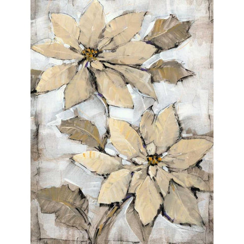 Poinsettia Study II Black Modern Wood Framed Art Print with Double Matting by OToole, Tim