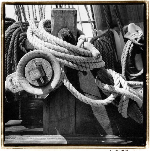 Ship Shape II Black Ornate Wood Framed Art Print with Double Matting by DeNardo, Laura