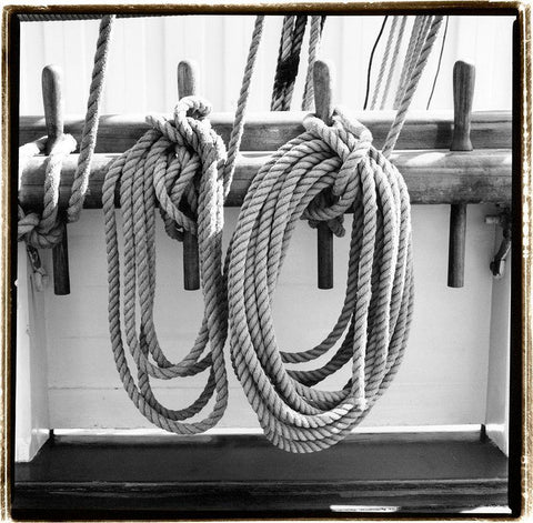 Secure I Black Ornate Wood Framed Art Print with Double Matting by DeNardo, Laura