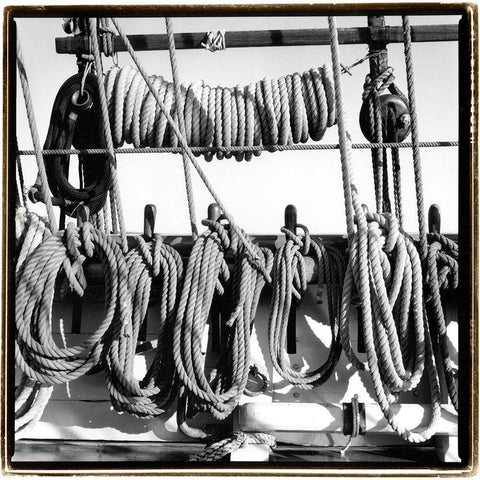 Secure II Black Modern Wood Framed Art Print with Double Matting by DeNardo, Laura