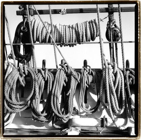 Secure II Black Ornate Wood Framed Art Print with Double Matting by DeNardo, Laura