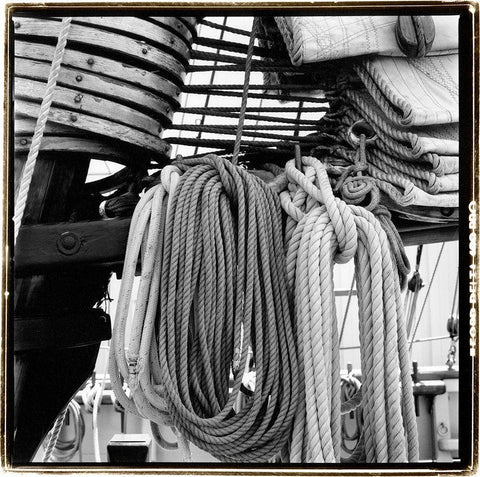 Secure III Black Ornate Wood Framed Art Print with Double Matting by DeNardo, Laura