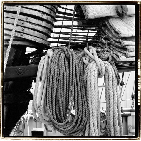 Secure III White Modern Wood Framed Art Print by DeNardo, Laura