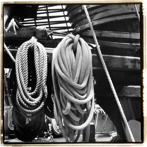 Secure IV Black Ornate Wood Framed Art Print with Double Matting by DeNardo, Laura