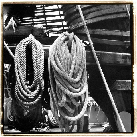 Secure IV Black Modern Wood Framed Art Print by DeNardo, Laura