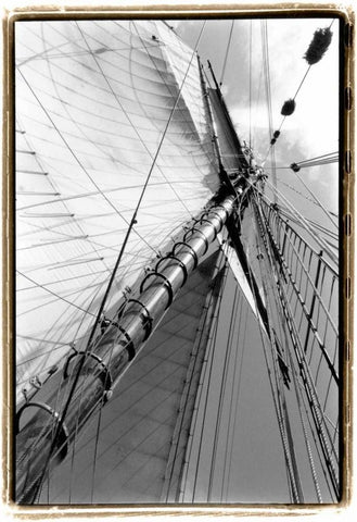 Set Sail II Black Ornate Wood Framed Art Print with Double Matting by DeNardo, Laura