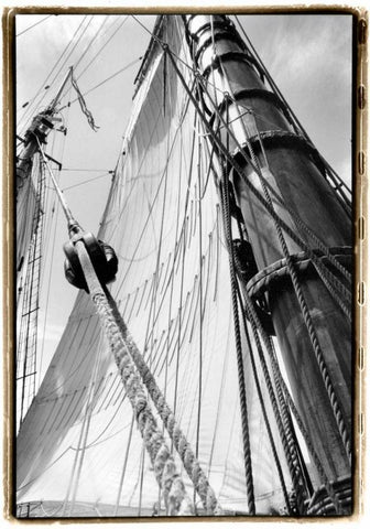 Set Sail III Black Ornate Wood Framed Art Print with Double Matting by DeNardo, Laura