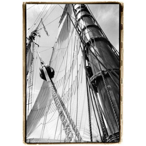 Set Sail III Gold Ornate Wood Framed Art Print with Double Matting by DeNardo, Laura