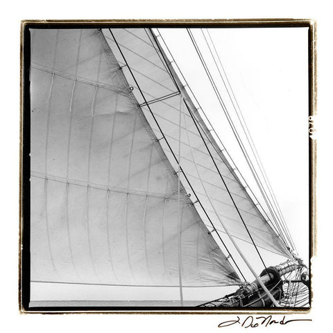 Undersail I Black Modern Wood Framed Art Print by DeNardo, Laura
