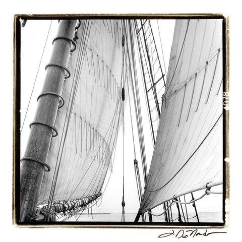 Undersail II Black Ornate Wood Framed Art Print with Double Matting by DeNardo, Laura