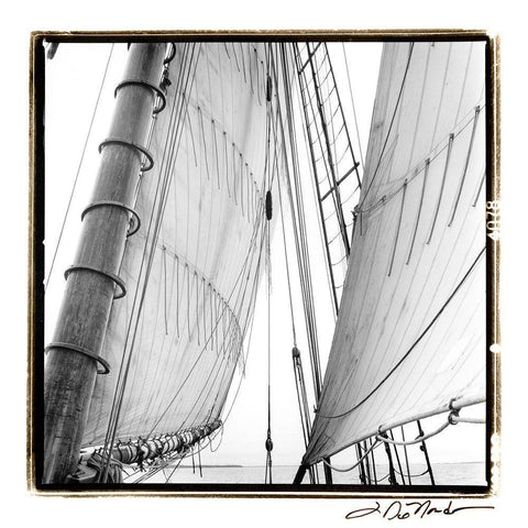 Undersail II White Modern Wood Framed Art Print by DeNardo, Laura