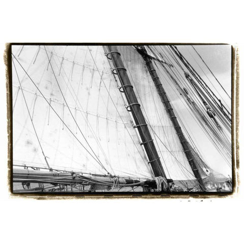 Undersail III White Modern Wood Framed Art Print by DeNardo, Laura