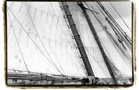 Undersail III White Modern Wood Framed Art Print with Double Matting by DeNardo, Laura