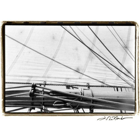 Undersail IV Black Modern Wood Framed Art Print with Double Matting by DeNardo, Laura