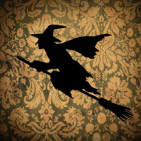 Witch and Damask Black Ornate Wood Framed Art Print with Double Matting by Vision Studio