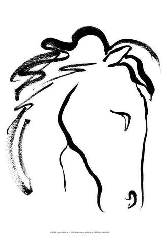 Equine Profile II White Modern Wood Framed Art Print with Double Matting by Ludwig, Alicia