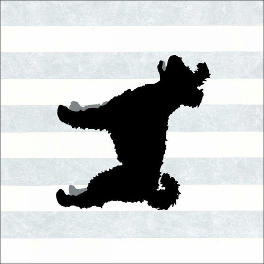 Image Only