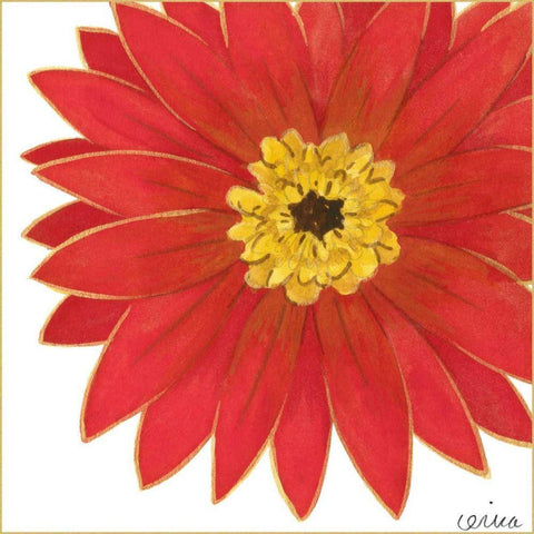 Bright Blossoms I White Modern Wood Framed Art Print with Double Matting by Vess, June Erica