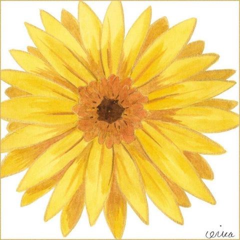 Bright Blossoms IV Black Modern Wood Framed Art Print by Vess, June Erica