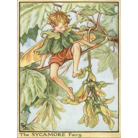 The Sycamore Fairy Gold Ornate Wood Framed Art Print with Double Matting by Vision Studio