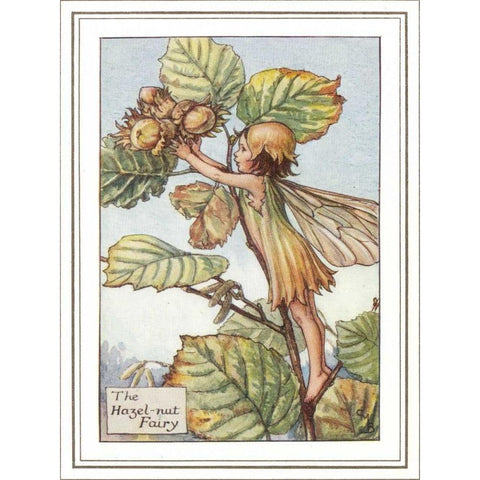 The Hazelnut Fairy Gold Ornate Wood Framed Art Print with Double Matting by Vision Studio