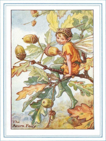 The Acorn Fairy Black Ornate Wood Framed Art Print with Double Matting by Vision Studio