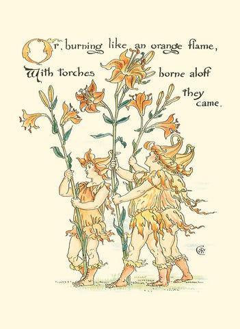 Shakespeares Garden VIII (Lily) White Modern Wood Framed Art Print with Double Matting by Crane, Walter
