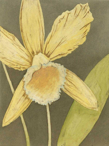 Orchid and Earth I Black Ornate Wood Framed Art Print with Double Matting by Meagher, Megan