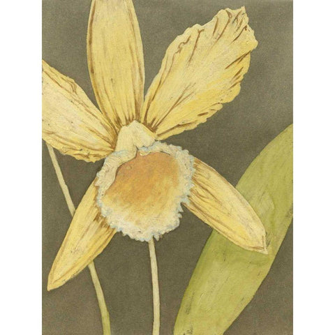 Orchid and Earth I Black Modern Wood Framed Art Print with Double Matting by Meagher, Megan