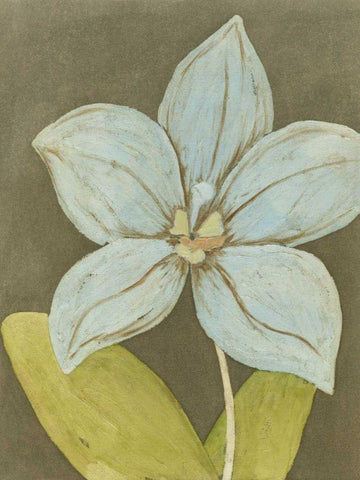 Orchid and Earth II White Modern Wood Framed Art Print with Double Matting by Meagher, Megan