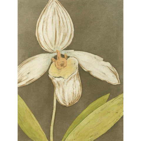 Orchid and Earth III White Modern Wood Framed Art Print by Meagher, Megan