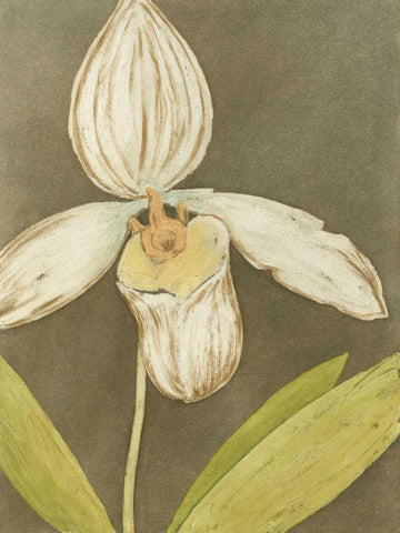 Orchid and Earth III White Modern Wood Framed Art Print with Double Matting by Meagher, Megan