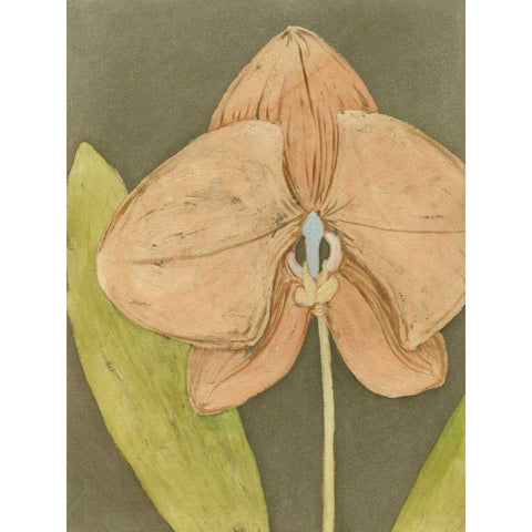 Orchid and Earth IV Gold Ornate Wood Framed Art Print with Double Matting by Meagher, Megan