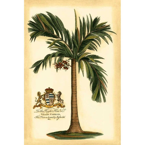 British Colonial Palm I Black Modern Wood Framed Art Print with Double Matting by Vision Studio