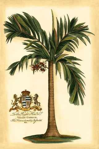 British Colonial Palm I Black Ornate Wood Framed Art Print with Double Matting by Vision Studio