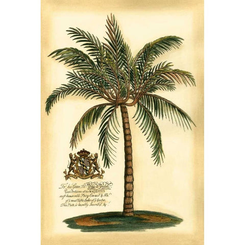 British Colonial Palm III Black Modern Wood Framed Art Print with Double Matting by Vision Studio