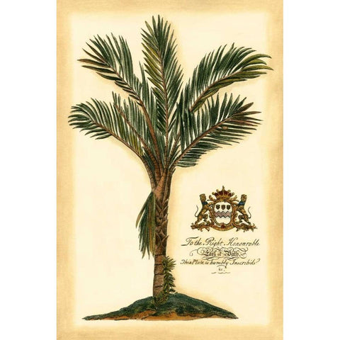 British Colonial Palm IV White Modern Wood Framed Art Print by Vision Studio