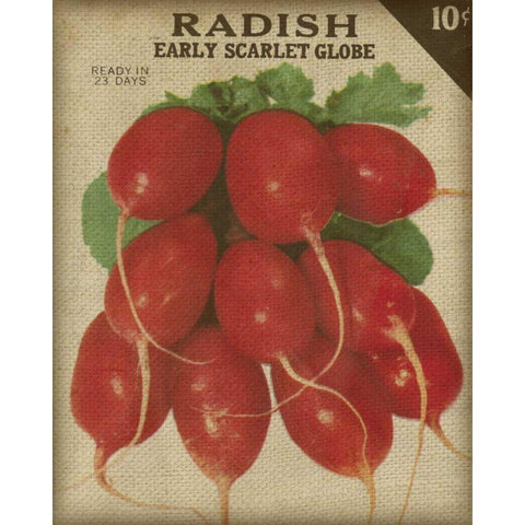 Heirloom Variety I Black Modern Wood Framed Art Print with Double Matting by Fagalde, Jarman