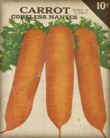 Heirloom Variety II Black Ornate Wood Framed Art Print with Double Matting by Fagalde, Jarman