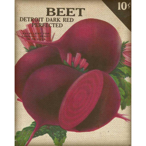 Heirloom Variety III Black Modern Wood Framed Art Print by Fagalde, Jarman