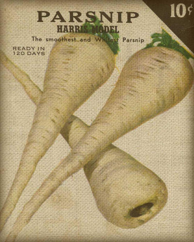 Heirloom Variety IV White Modern Wood Framed Art Print with Double Matting by Fagalde, Jarman