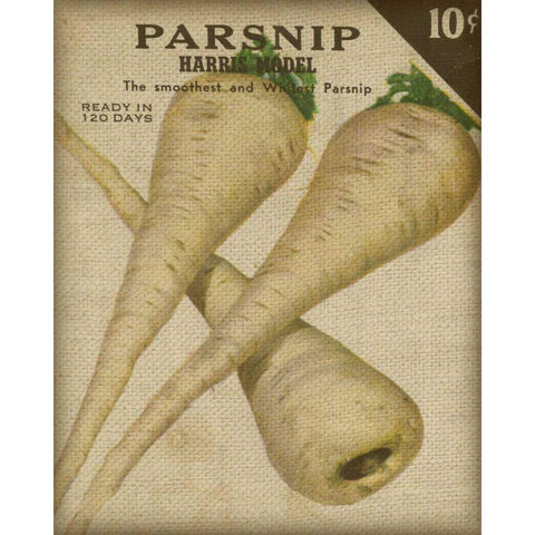 Heirloom Variety IV White Modern Wood Framed Art Print by Fagalde, Jarman