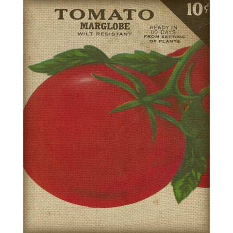 Heirloom Variety V White Modern Wood Framed Art Print by Fagalde, Jarman