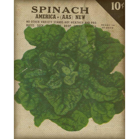 Heirloom Variety VI Gold Ornate Wood Framed Art Print with Double Matting by Fagalde, Jarman